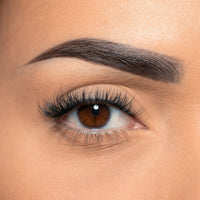 MODELROCK Ready to Wear Pre-Glued Cluster Lashes - Travel Edition - 40 Pieces