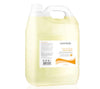 CaronLab Wax Remover Citrus Clean Refill - 5 Litre